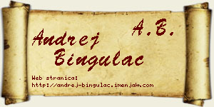 Andrej Bingulac vizit kartica
